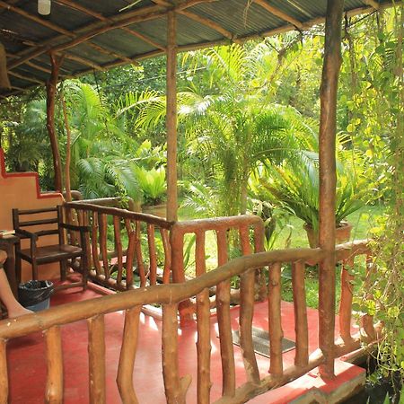 Sigiriya Nature View Home Stay Екстериор снимка