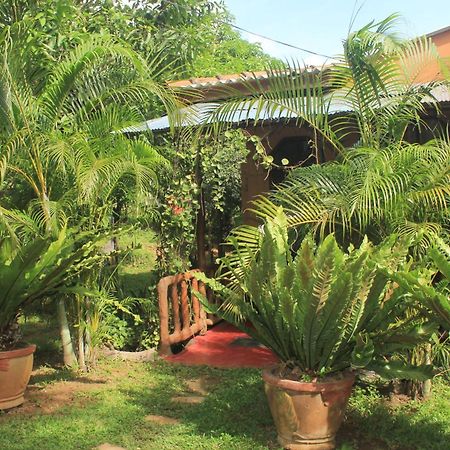 Sigiriya Nature View Home Stay Екстериор снимка