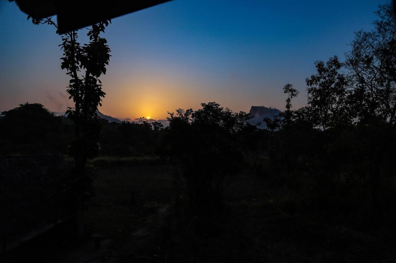 Sigiriya Nature View Home Stay Екстериор снимка