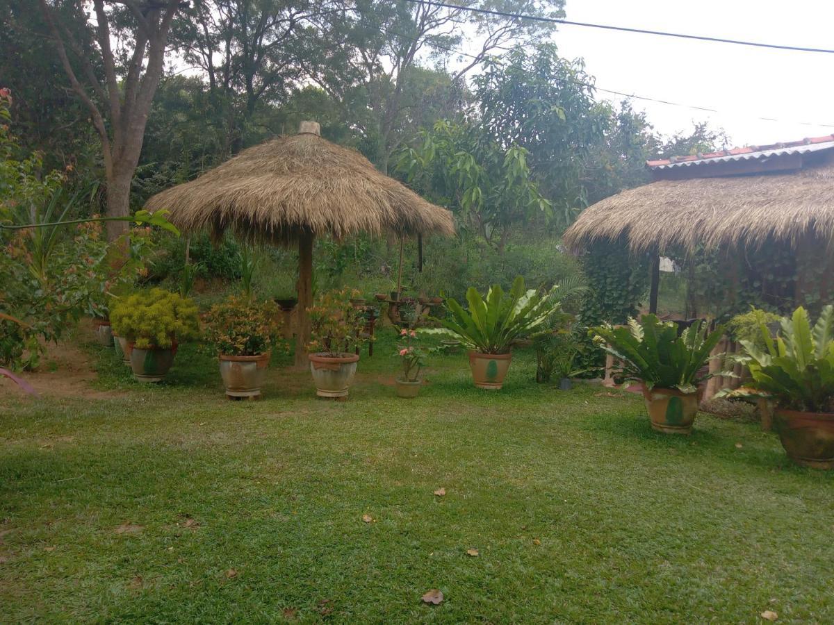 Sigiriya Nature View Home Stay Екстериор снимка