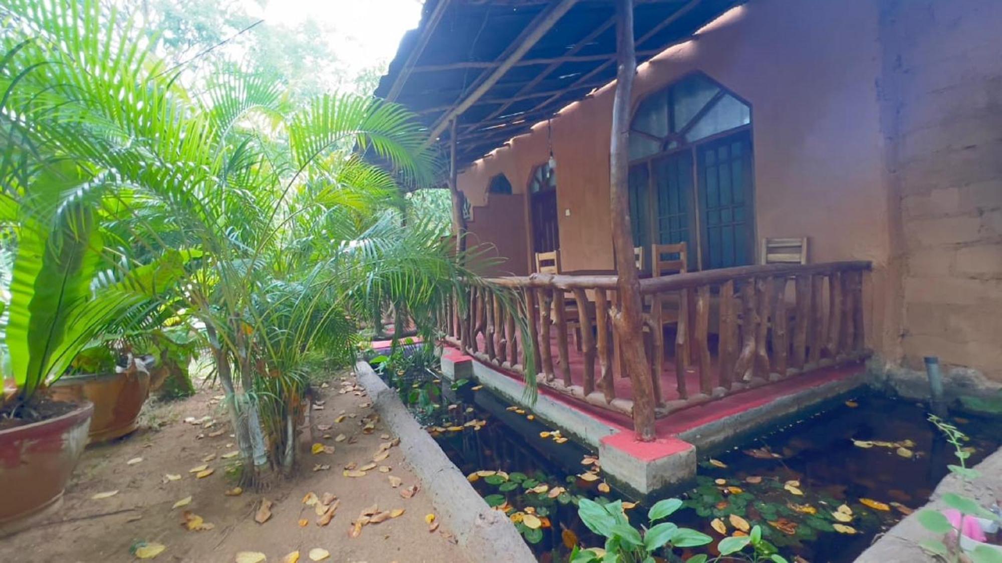 Sigiriya Nature View Home Stay Екстериор снимка