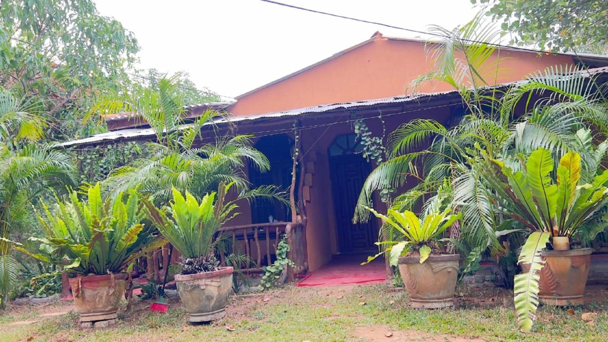 Sigiriya Nature View Home Stay Екстериор снимка