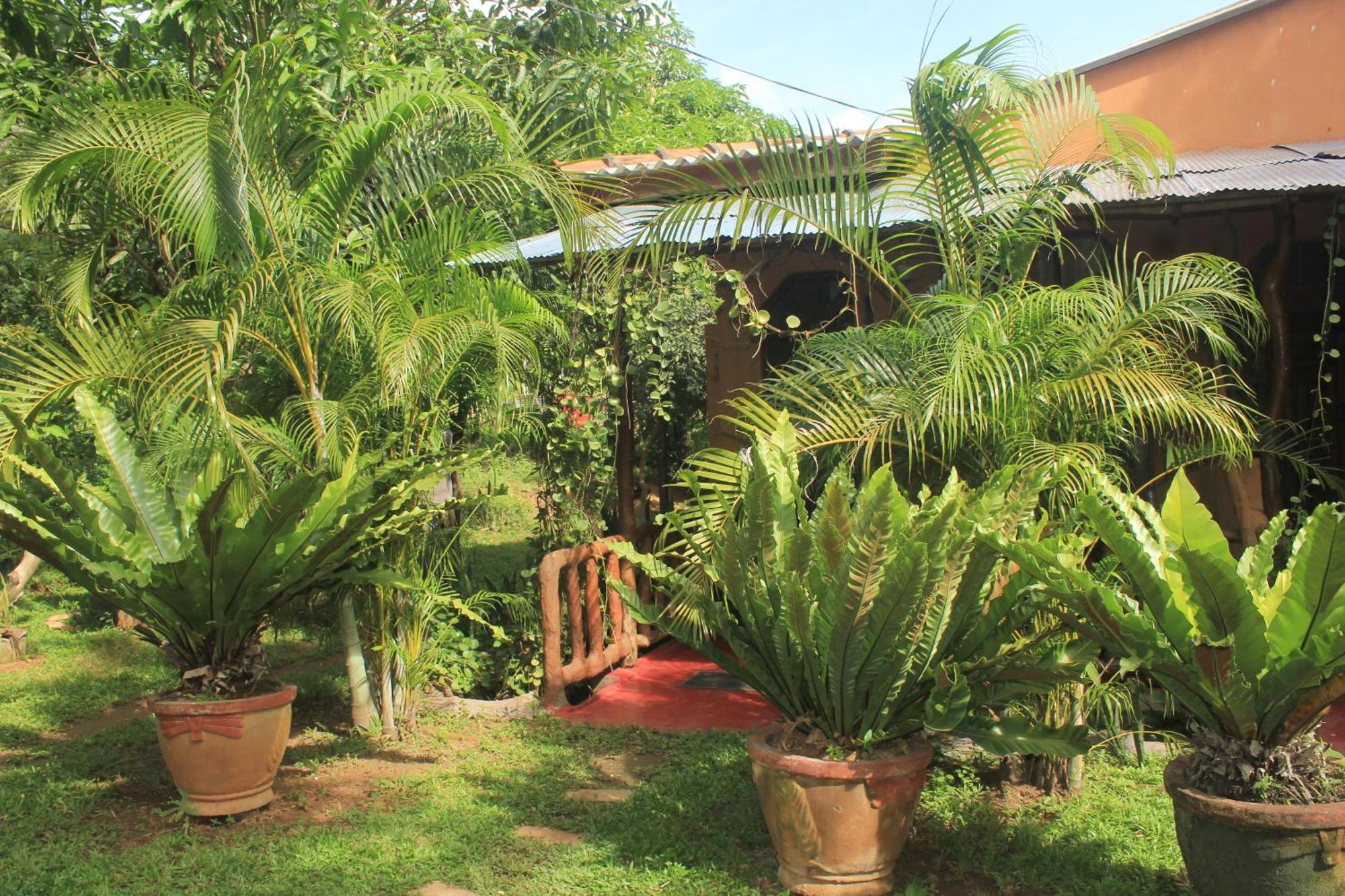 Sigiriya Nature View Home Stay Екстериор снимка